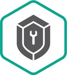 Расширенная техническая поддержка (сертификат на 2 года), Plus