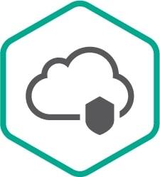 Kaspersky Endpoint Security Cloud Plus (лицензия), на 2 года. Количество рабочих станций/файловых серверов