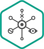 Kaspersky Endpoint Detection and Response для бизнеса Оптимальный (продление лицензии), на 1 год. Количество узлов